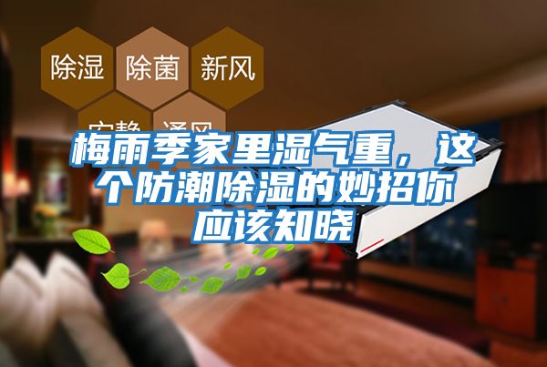 梅雨季家里濕氣重，這個(gè)防潮除濕的妙招你應(yīng)該知曉