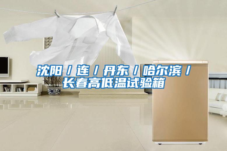 沈陽/連/丹東/哈爾濱/長春高低溫試驗(yàn)箱