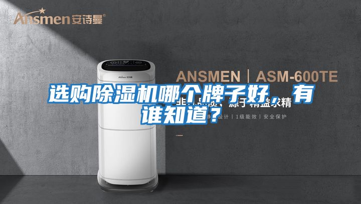 選購(gòu)除濕機(jī)哪個(gè)牌子好,有誰(shuí)知道?