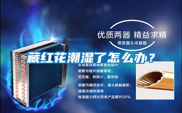 藏紅花潮濕了怎么辦?