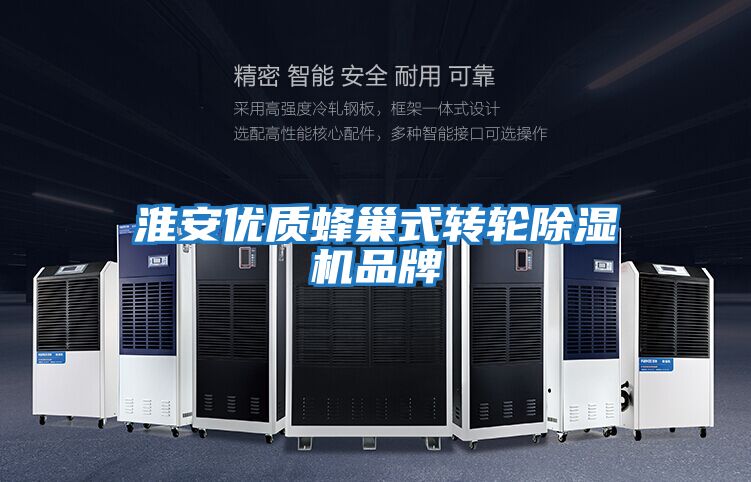 淮安優質蜂巢式轉輪除濕機品牌