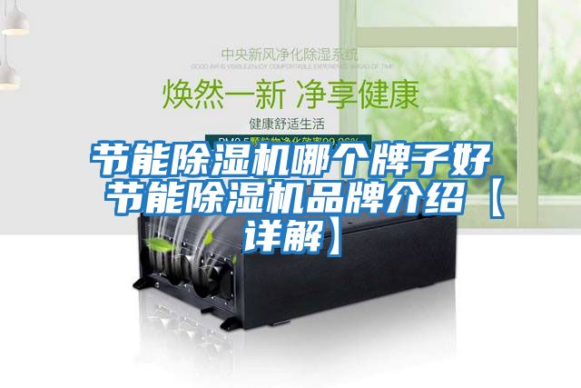 節能除濕機哪個牌子好 節能除濕機品牌介紹【詳解】