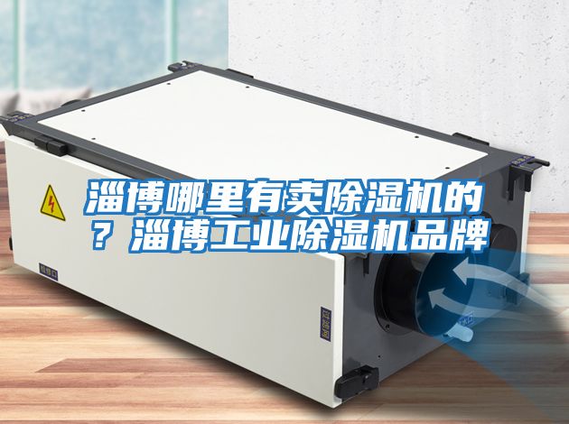 淄博哪里有賣除濕機的？淄博工業除濕機品牌