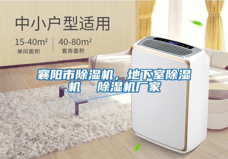 襄陽市除濕機，地下室除濕機  除濕機廠家