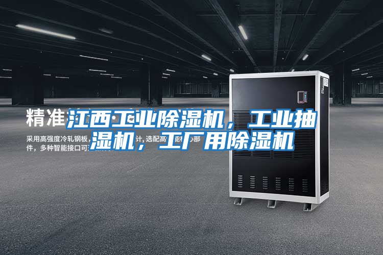 江西工業除濕機，工業抽濕機，工廠用除濕機