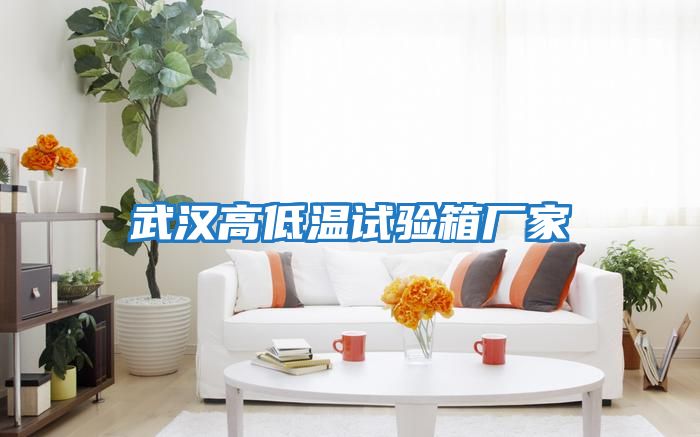 武漢高低溫試驗(yàn)箱廠(chǎng)家