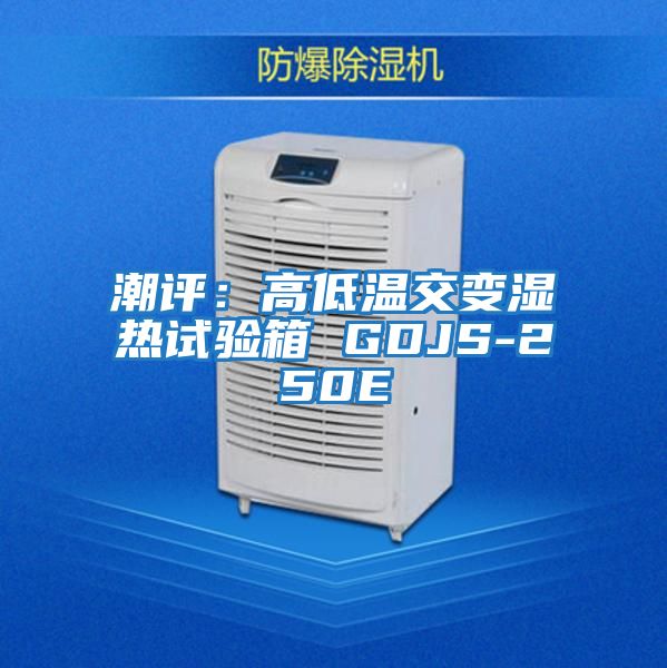 潮評:高低溫交變濕熱試驗箱 GDJS-250E