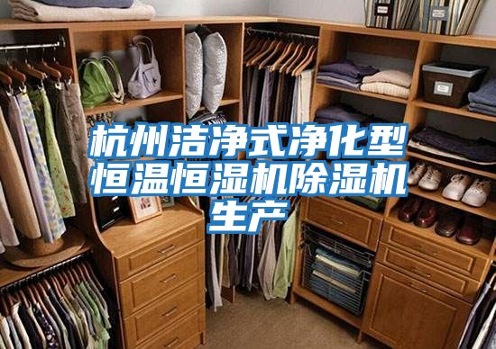 杭州潔凈式凈化型恒溫恒濕機除濕機生產