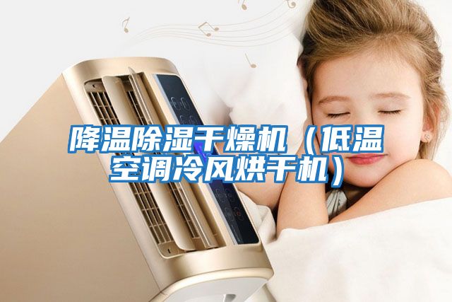 降溫除濕干燥機(jī)(低溫空調(diào)冷風(fēng)烘干機(jī))