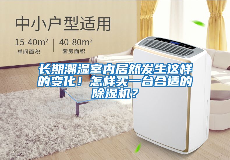 長期潮濕室內居然發(fā)生這樣的變化!怎樣買一臺合適的除濕機?