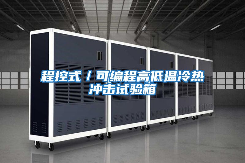 程控式/可編程高低溫冷熱沖擊試驗(yàn)箱
