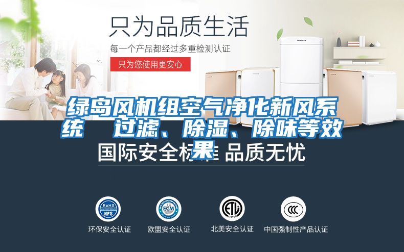 綠島風(fēng)機(jī)組空氣凈化新風(fēng)系統(tǒng)  過濾、除濕、除味等效果