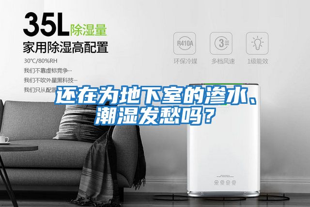 還在為地下室的滲水、潮濕發愁嗎？