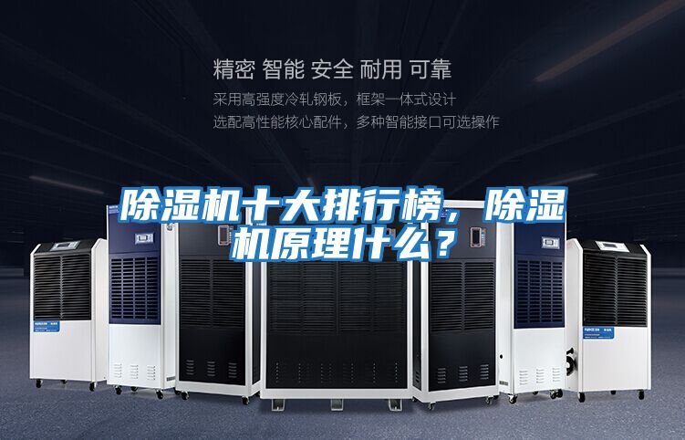 除濕機(jī)十大排行榜,除濕機(jī)原理什么?