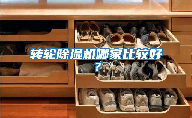 轉輪除濕機哪家比較好?