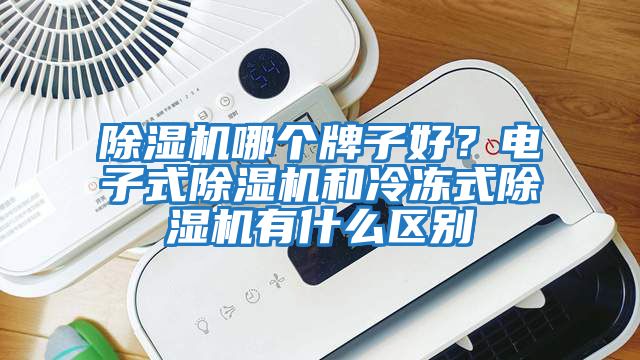 除濕機哪個牌子好?電子式除濕機和冷凍式除濕機有什么區別