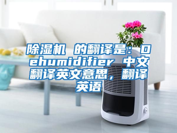 除濕機(jī) 的翻譯是:Dehumidifier 中文翻譯英文意思,翻譯英語(yǔ)