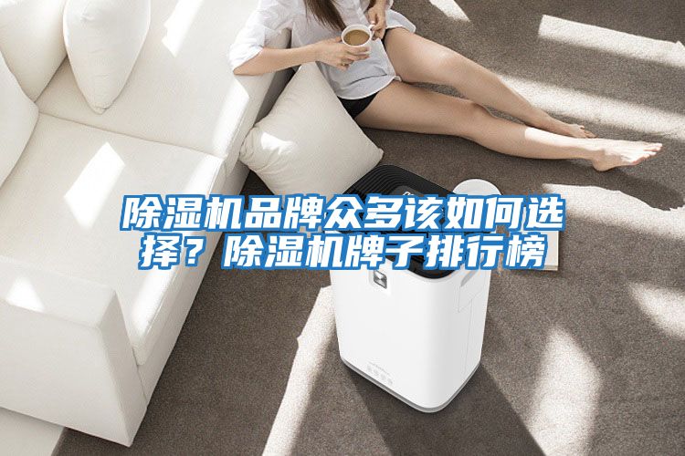 除濕機品牌眾多該如何選擇？除濕機牌子排行榜