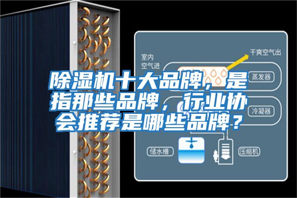 除濕機十大品牌，是指那些品牌，行業協會推薦是哪些品牌？