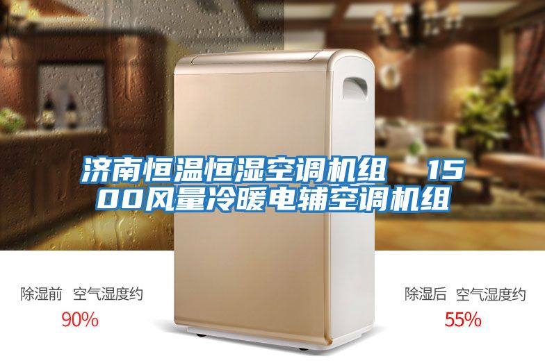 濟南恒溫恒濕空調(diào)機組 1500風(fēng)量冷暖電輔空調(diào)機組