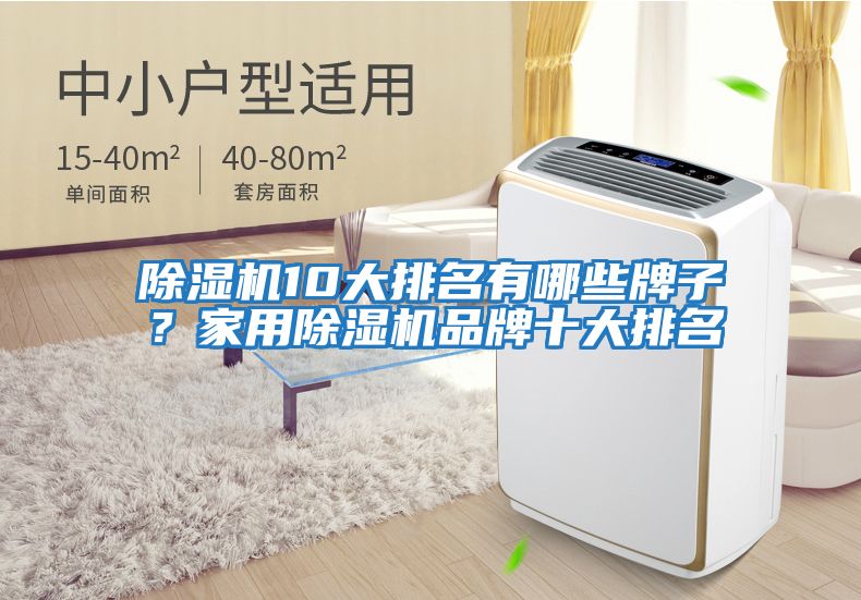 除濕機10大排名有哪些牌子？家用除濕機品牌十大排名