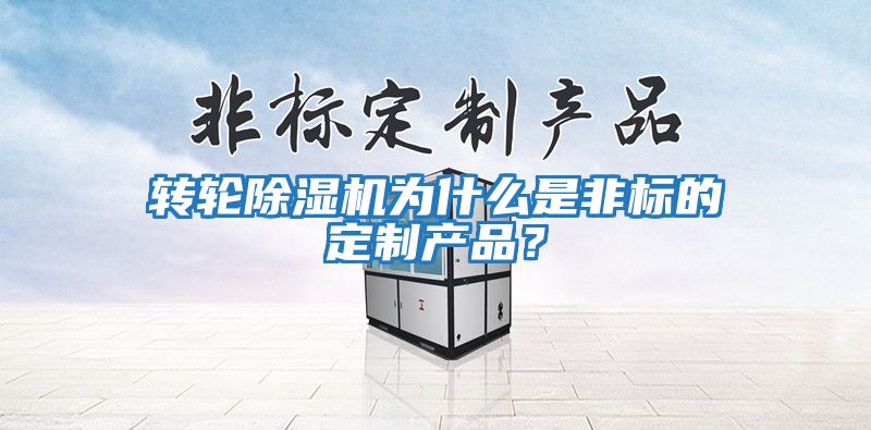 轉輪除濕機為什么是非標的定制產品?