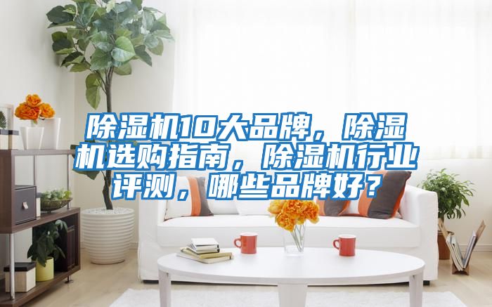 除濕機10大品牌，除濕機選購指南，除濕機行業評測，哪些品牌好？