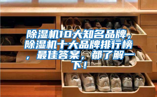 除濕機10大知名品牌，除濕機十大品牌排行榜，最佳答案，都了解一下！
