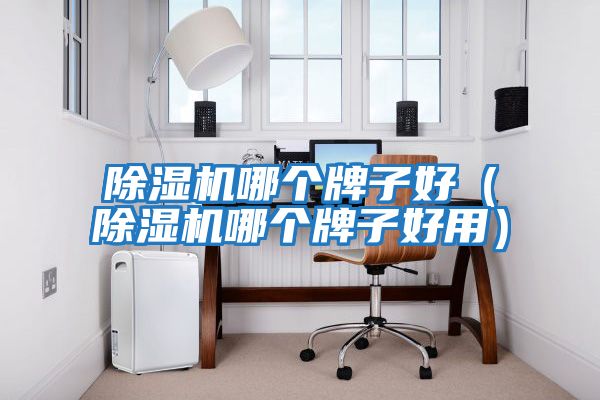 除濕機(jī)哪個(gè)牌子好(除濕機(jī)哪個(gè)牌子好用)