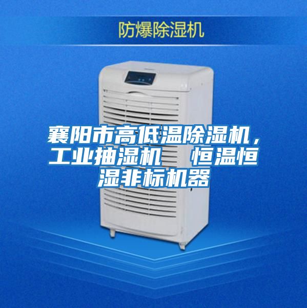 襄陽(yáng)市高低溫除濕機(jī),工業(yè)抽濕機(jī) 恒溫恒濕非標(biāo)機(jī)器