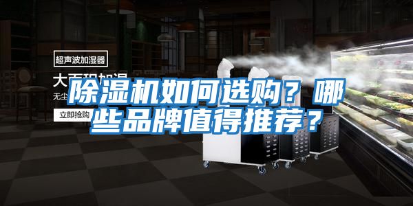 除濕機如何選購？哪些品牌值得推薦？