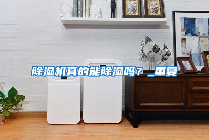 除濕機(jī)真的能除濕嗎?_重復(fù)
