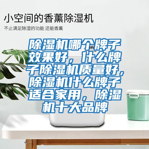 除濕機(jī)哪個(gè)牌子效果好，什么牌子除濕機(jī)質(zhì)量好，除濕機(jī)什么牌子適合家用，除濕機(jī)十大品牌