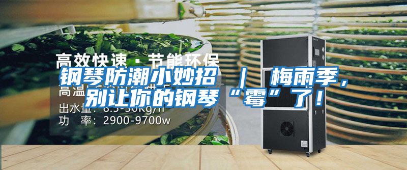 鋼琴防潮小妙招 ｜ 梅雨季，別讓你的鋼琴“霉”了！