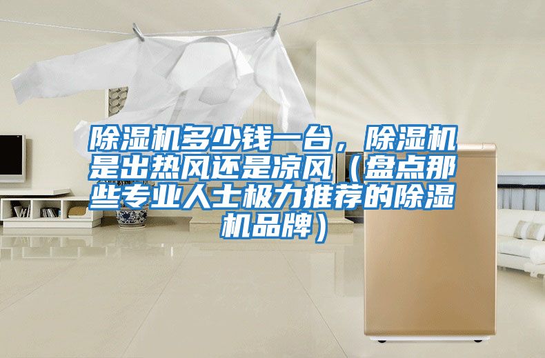 除濕機(jī)多少錢(qián)一臺(tái)，除濕機(jī)是出熱風(fēng)還是涼風(fēng)（盤(pán)點(diǎn)那些專業(yè)人士極力推薦的除濕機(jī)品牌）