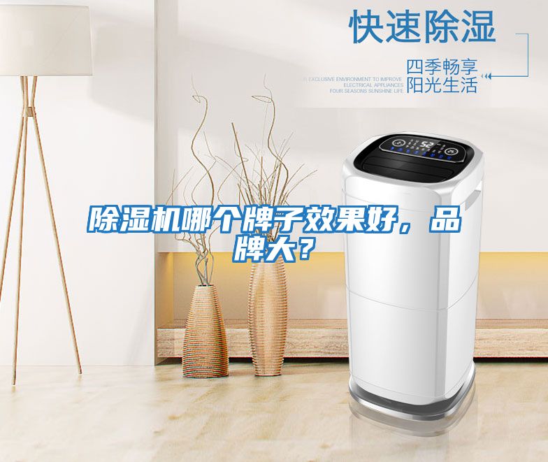 除濕機(jī)哪個(gè)牌子效果好，品牌大？