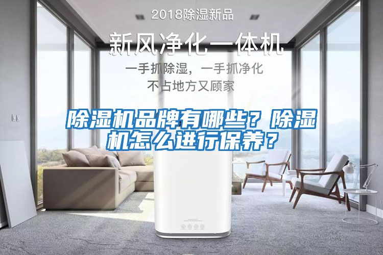 除濕機品牌有哪些？除濕機怎么進行保養？