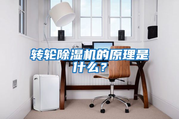轉輪除濕機的原理是什么?