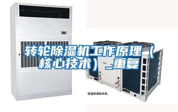轉(zhuǎn)輪除濕機工作原理(核心技術)_重復