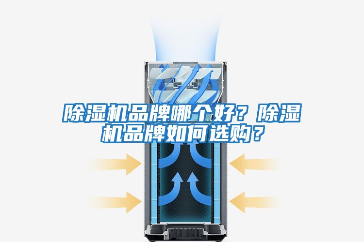 除濕機品牌哪個好?除濕機品牌如何選購?