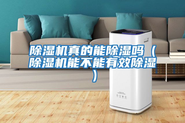 除濕機真的能除濕嗎(除濕機能不能有效除濕)
