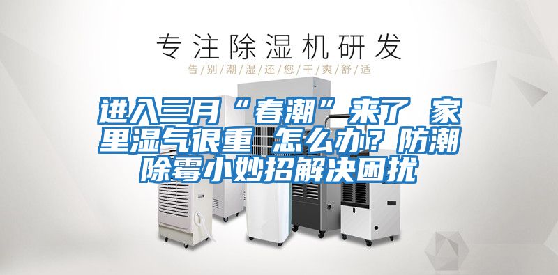 進入三月“春潮”來了 家里濕氣很重 怎么辦？防潮除霉小妙招解決困擾