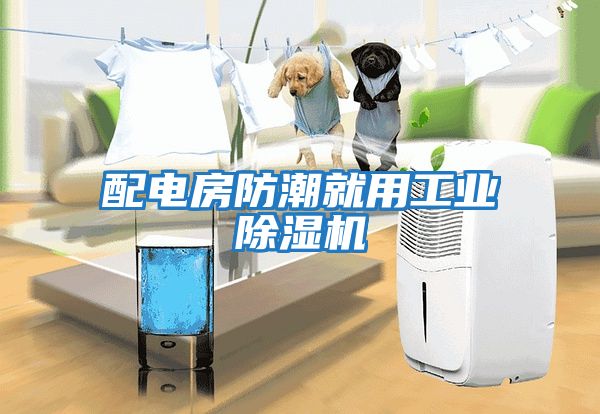 配電房防潮就用工業除濕機