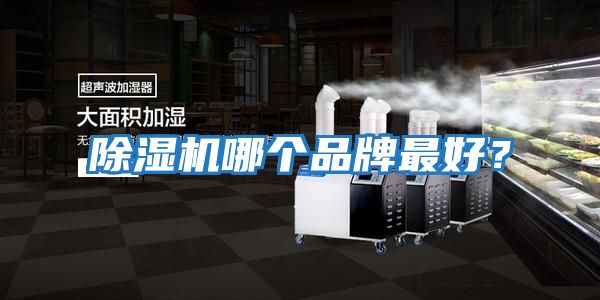 除濕機哪個品牌最好？