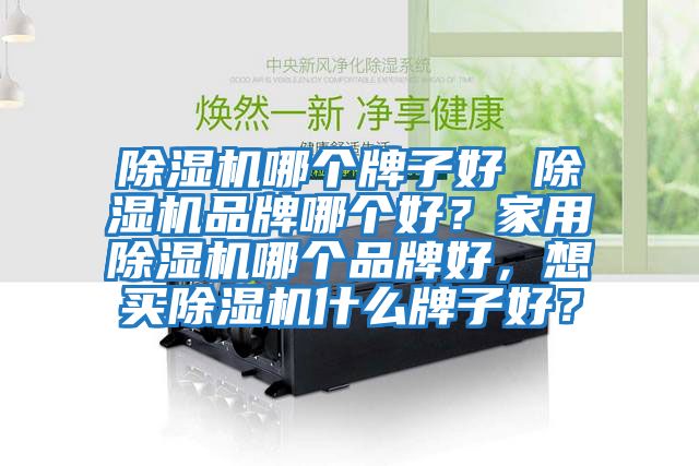 除濕機哪個牌子好 除濕機品牌哪個好?家用除濕機哪個品牌好,想買除濕機什么牌子好?