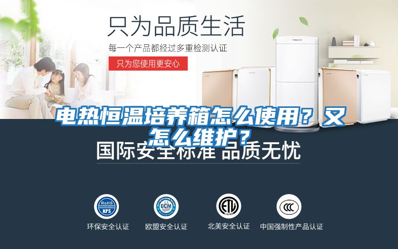 電熱恒溫培養箱怎么使用？又怎么維護？