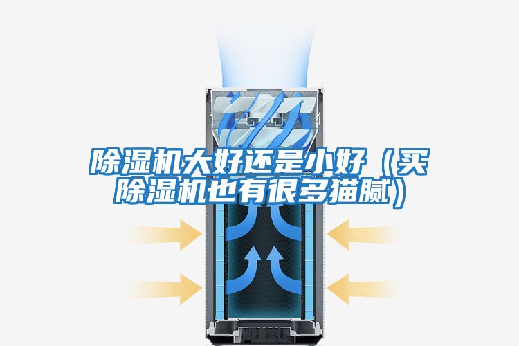 除濕機大好還是小好(買除濕機也有很多貓膩)