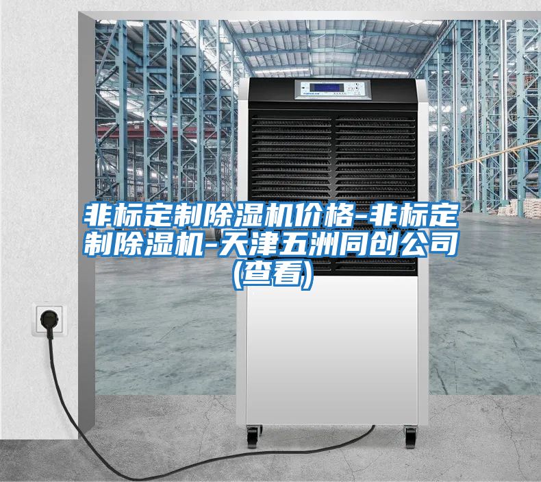 非標定制除濕機價格-非標定制除濕機-天津五洲同創公司(查看)
