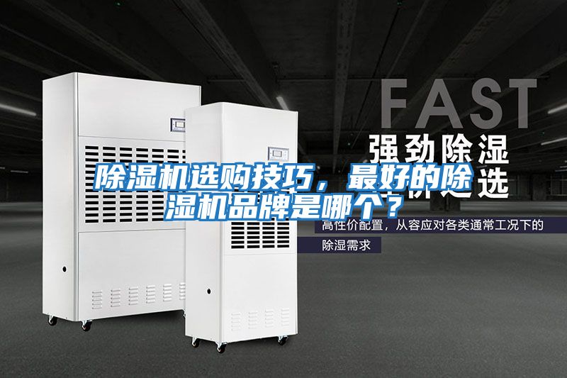除濕機選購技巧，最好的除濕機品牌是哪個？