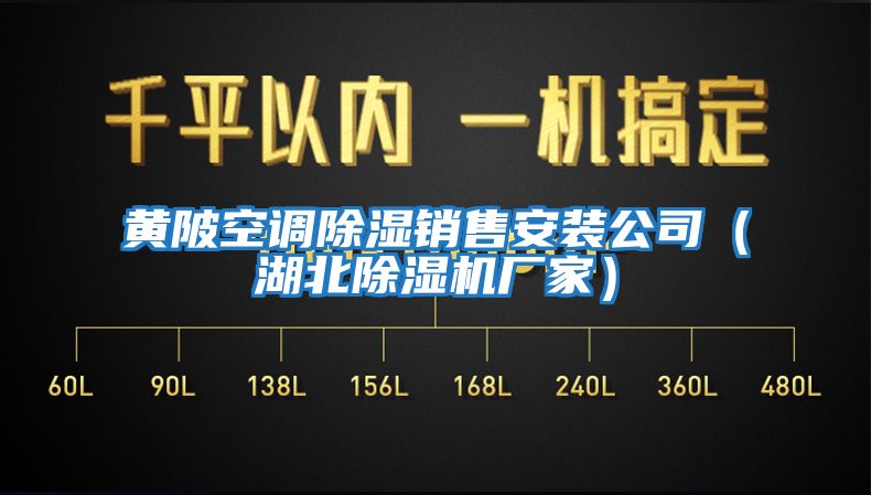 黃陂空調(diào)除濕銷售安裝公司(湖北除濕機廠家)
